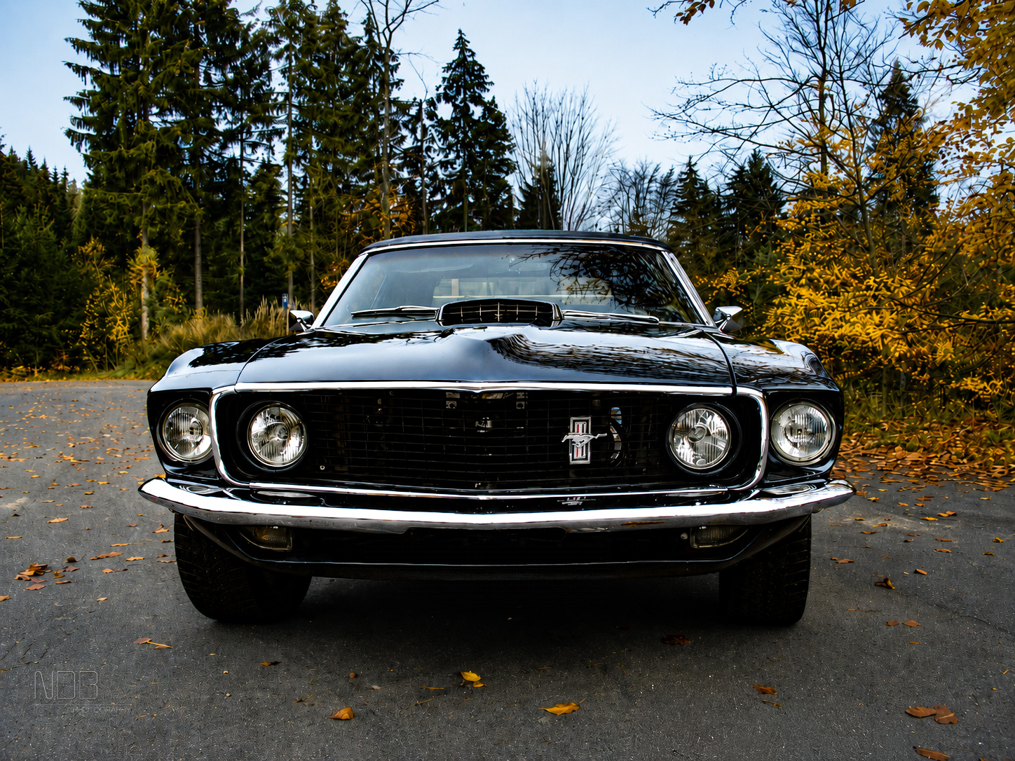 Front des 1969 Ford Mustang Cabrio im Herbst